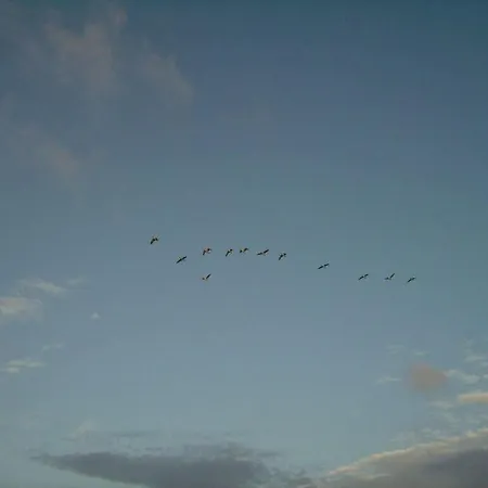 펜션 Oland In Haus Halligblick 다게불