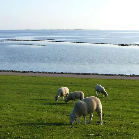 Oland In Haus Halligblick Nyaraló