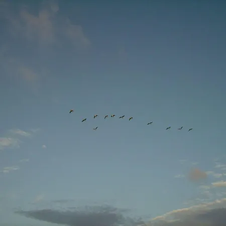 Oland In Haus Halligblick Nyaraló