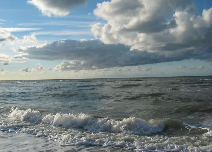 Oland In Haus Halligblick